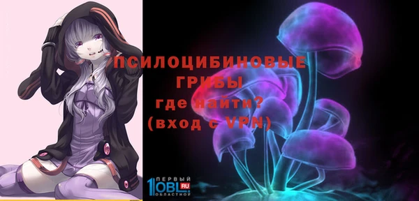 прущая мука Алзамай